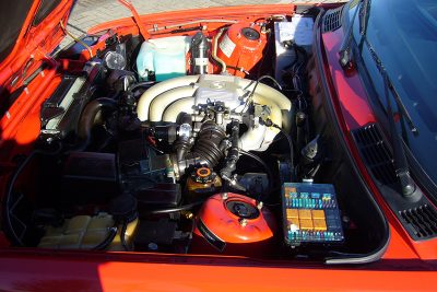 beweissicherungsgutachten